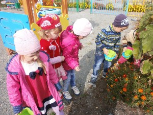 �����������