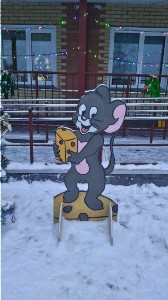 �����������